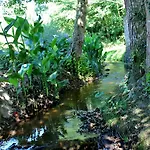 Bed & Breakfast D'hotes Au Sargaillon Pouillon