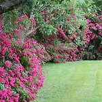 Bed & Breakfast D'hotes Au Sargaillon Pouillon