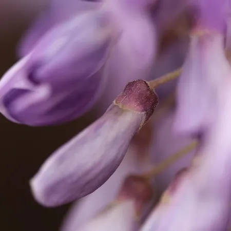 Bed & Breakfast D'hotes Au Sargaillon 4*