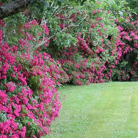 Bed & Breakfast D'hotes Au Sargaillon Pouillon