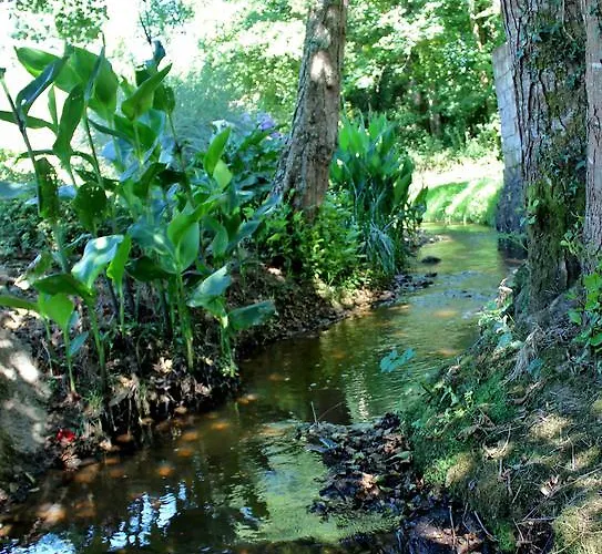 فندق مبيت وإفطار D'hotes Au Sargaillon Pouillon