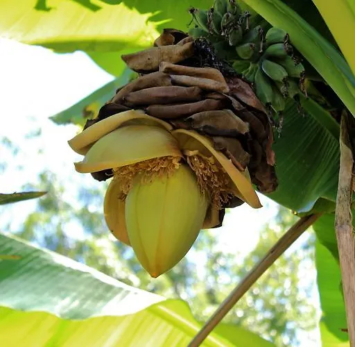 فندق مبيت وإفطار D'hotes Au Sargaillon