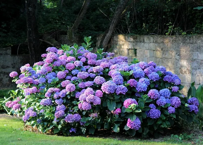 فندق مبيت وإفطار D'hotes Au Sargaillon Pouillon