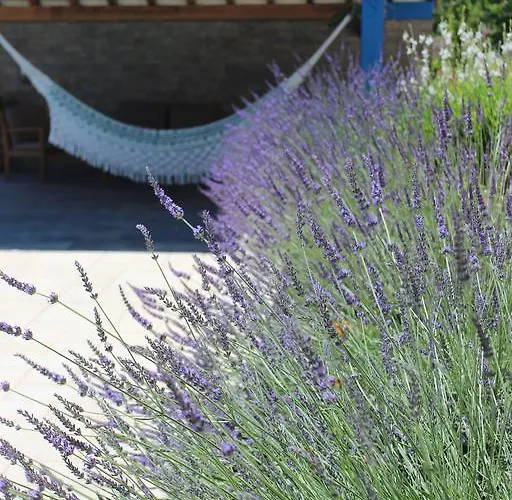 D'hotes Au Sargaillon فندق مبيت وإفطار