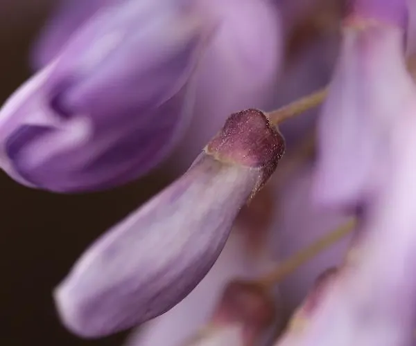 فندق مبيت وإفطار D'hotes Au Sargaillon 4*