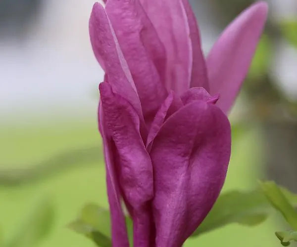 D'hotes Au Sargaillon 4* Pouillon