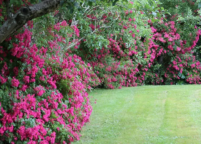 فندق مبيت وإفطار D'hotes Au Sargaillon Pouillon